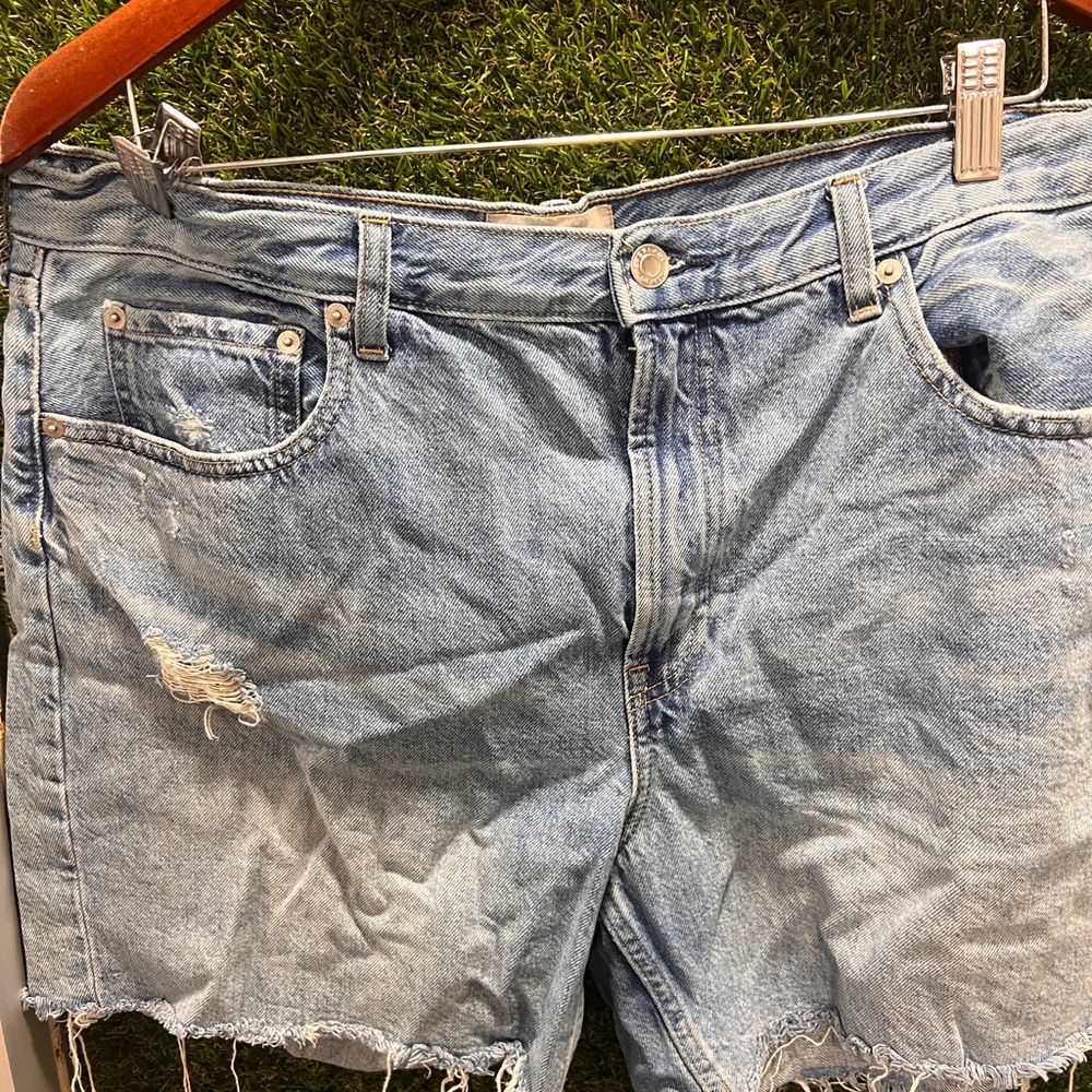 Everlane Light Blue Denim Shorts